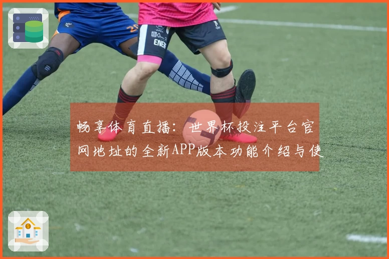 畅享体育直播：世界杯投注平台官网地址的全新APP版本功能介绍与使用体验