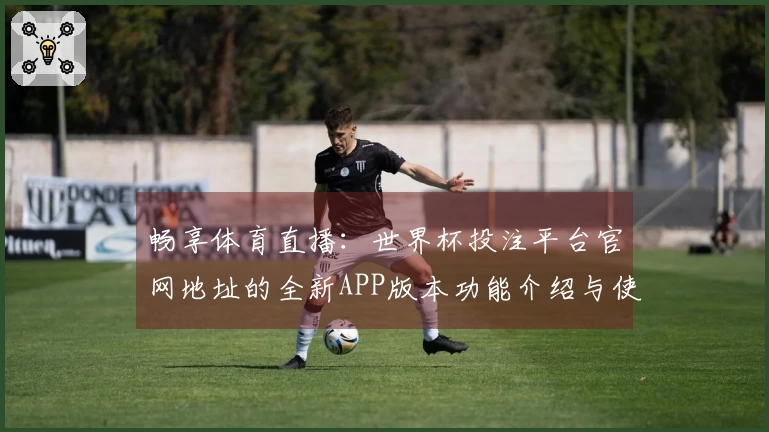 畅享体育直播：世界杯投注平台官网地址的全新APP版本功能介绍与使用体验