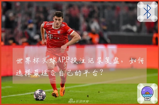 世界杯买球APP投注记录复盘，如何选择最适合自己的平台？