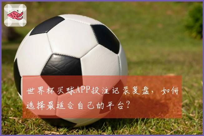 世界杯买球APP投注记录复盘，如何选择最适合自己的平台？