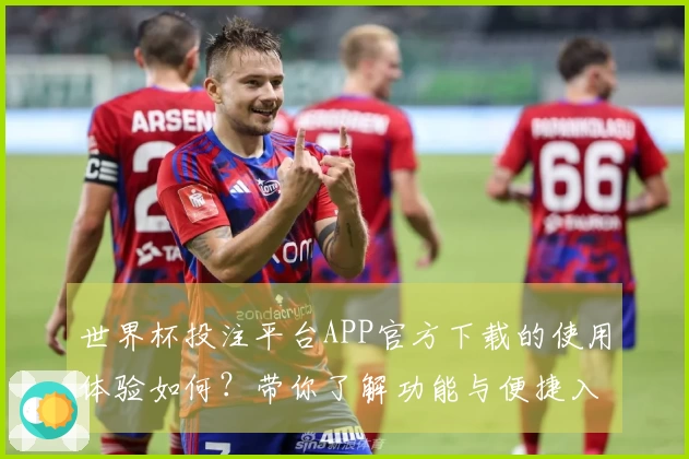 世界杯投注平台APP官方下载的使用体验如何？带你了解功能与便捷入口