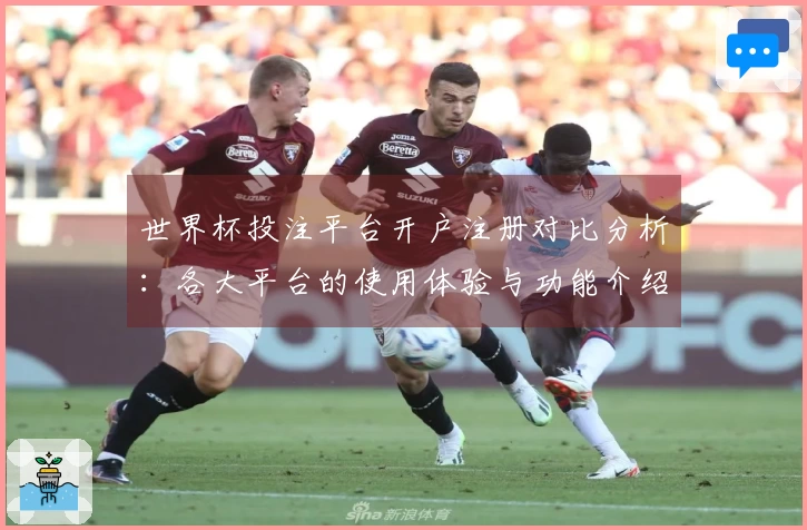 世界杯投注平台开户注册对比分析：各大平台的使用体验与功能介绍