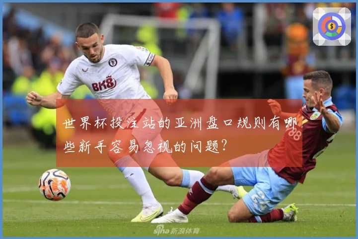 世界杯投注站的亚洲盘口规则有哪些新手容易忽视的问题？