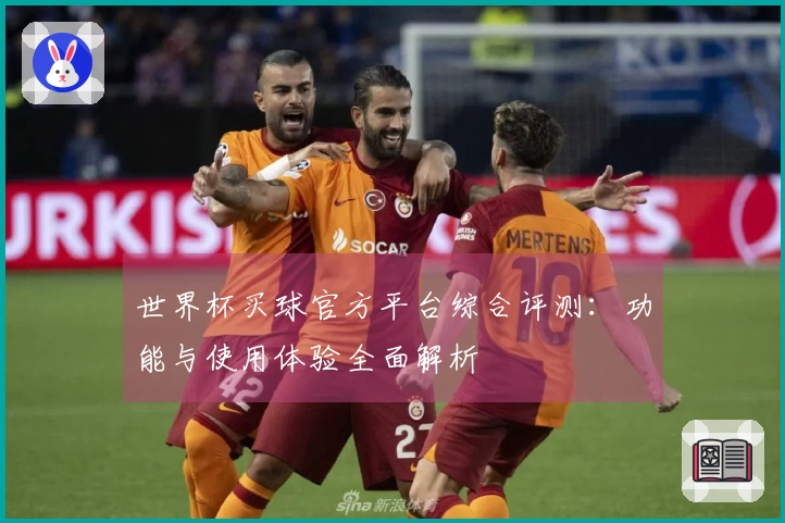 世界杯买球官方平台综合评测：功能与使用体验全面解析