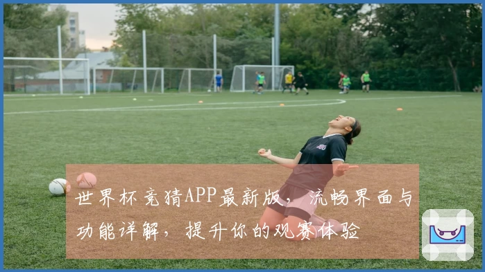 世界杯竞猜APP最新版，流畅界面与功能详解，提升你的观赛体验