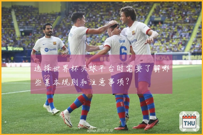 选择世界杯买球平台时需要了解哪些基本规则和注意事项？